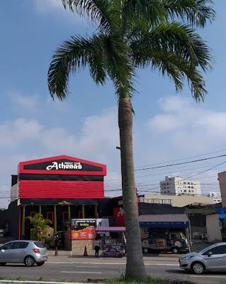 Athenas Night Club (São Paulo, Brasil)