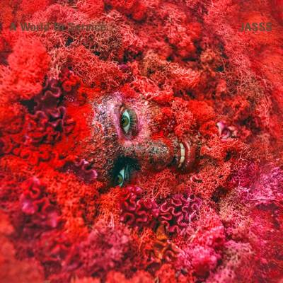 Berghain (Berlín, Alemania)