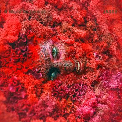 Berghain | Panorama Bar (Berlín, Alemania)