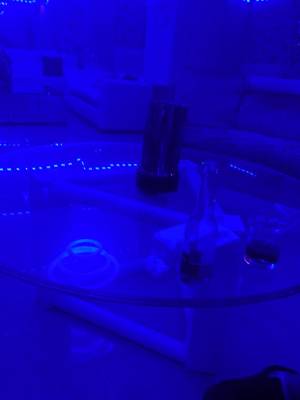 Blue Light (Santo Domingo, Santo Domingo)