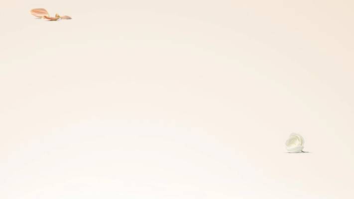 Body Spa Services (Bombay, India)