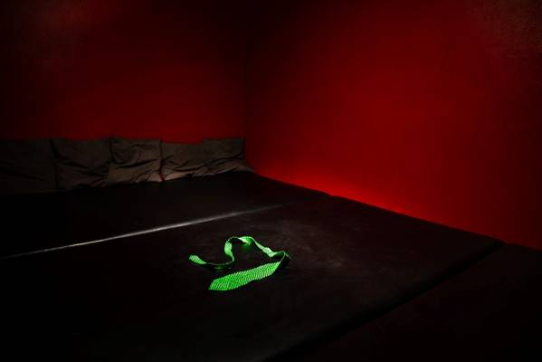 Club Lublaåˆská (Praga, Chequia)