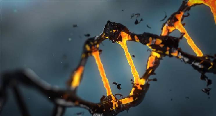 Dolls (Kyiv, Ucrania)