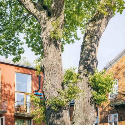 End Night Club (Estocolmo, Suecia)