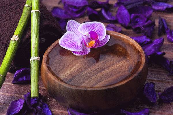 Erotické Masáže Matahari Salon (Praga, Chequia)