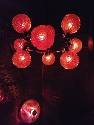 Kauz (Zúrich, Suiza)