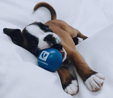 Mazzor Night Club (Vilna, Lituania)