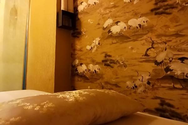 Paradiso (Praga, Chequia)