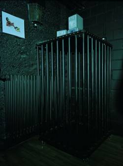 Playgirls (Berna, Suiza)