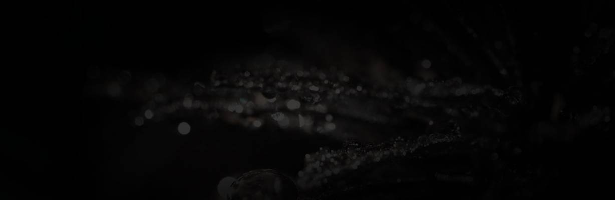 Puschkin Lounge Bar (Zúrich, Suiza)