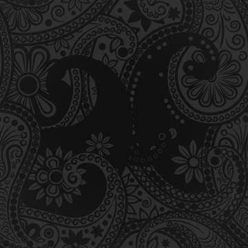 Sassy Strippers (Canberra, Australia)