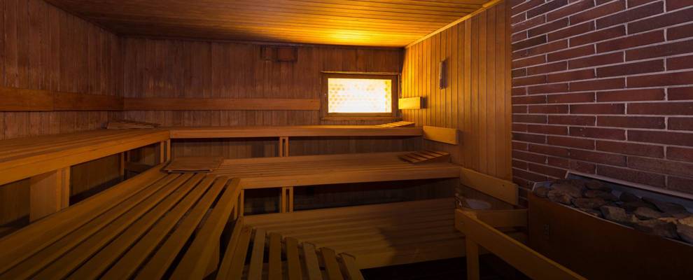 Sauna Horn (Berna, Suiza)