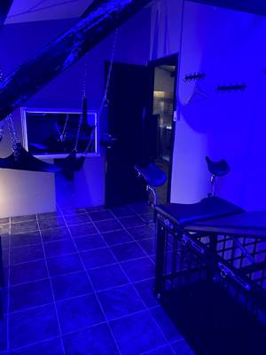 Secret Minds Adventures (La Haya, Holanda)