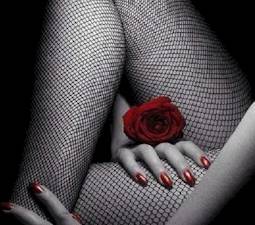 Secret Minds Adventures (La Haya, Holanda)