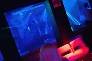 Single Night Club