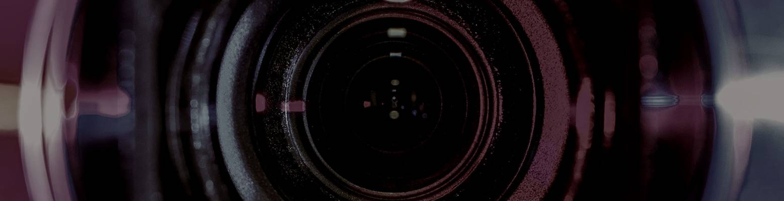 Swingeroase Zwiespalt (Berlín, Alemania)