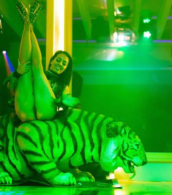 The Firm (Adelaida, Australia)