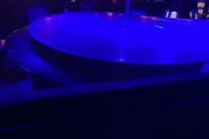 The Shady Lady Gentlemen's Club