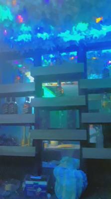 Tina Club (Adís Abeba, Etiopía)