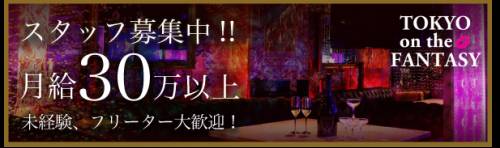 Tokyo On The Fantasy (Tokio, Japón)
