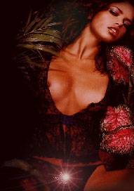 Wunschzimmer Berlin (Berlín, Alemania)